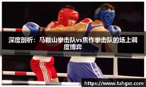 美嘉体育