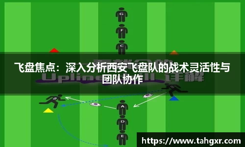 飞盘焦点：深入分析西安飞盘队的战术灵活性与团队协作