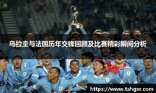 美嘉体育官方网站
